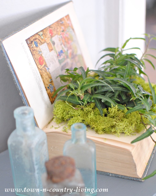 DIY book planter you can make in under an hour.