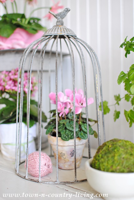 Spring Vignette with Pink Flowers and Fresh Greens