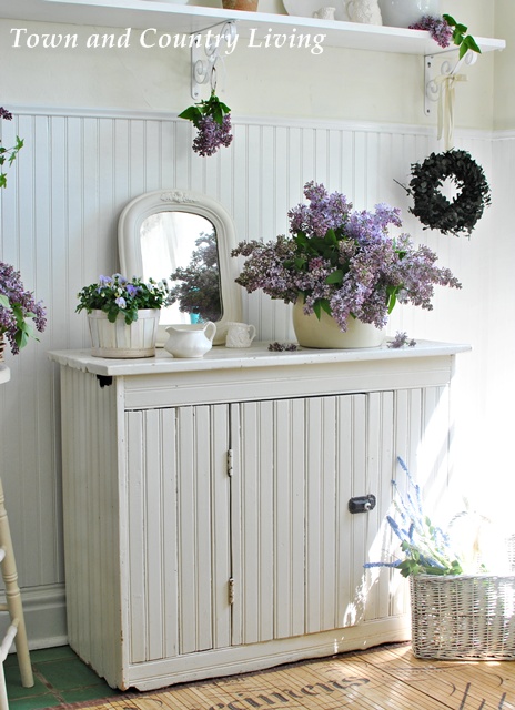 Lilacs and pansies signal the coming of spring