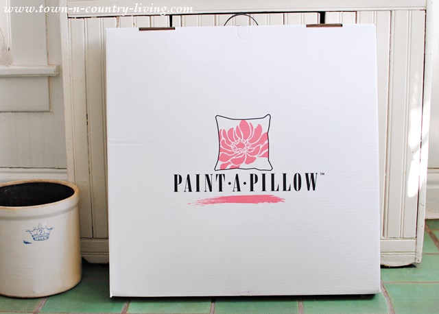 Paint-a-Pillow Kit