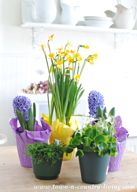 DIY Spring Bulb Flower Arrangement