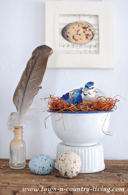Spring Vignette with Birds and Nests