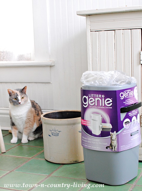 Stella and the Litter Genie