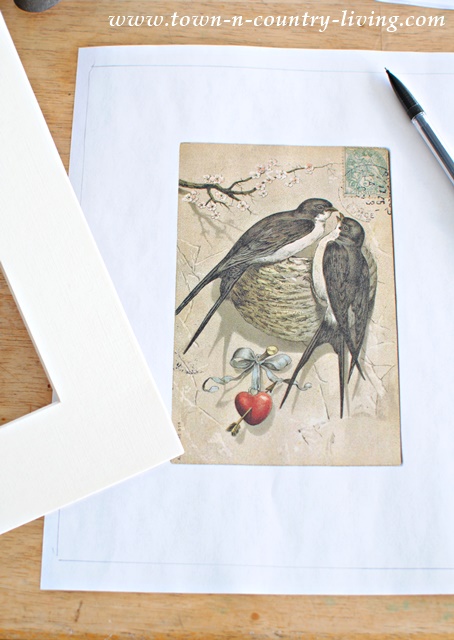 Create bird prints for your spring decor using free bird printables.