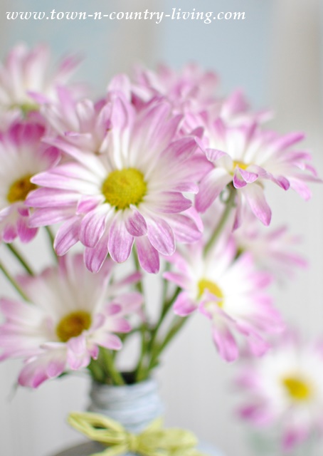Bouquet of Simple Mums