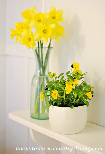 Daffodils and Pansies on a Farmhouse Bathroom Shelf