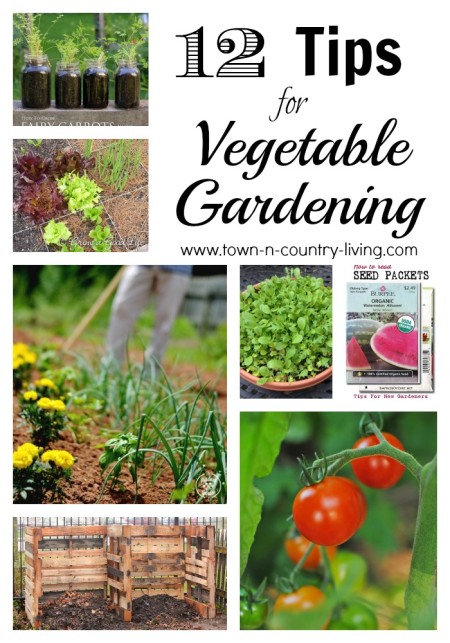 12 Tips for Vegetable Gardening