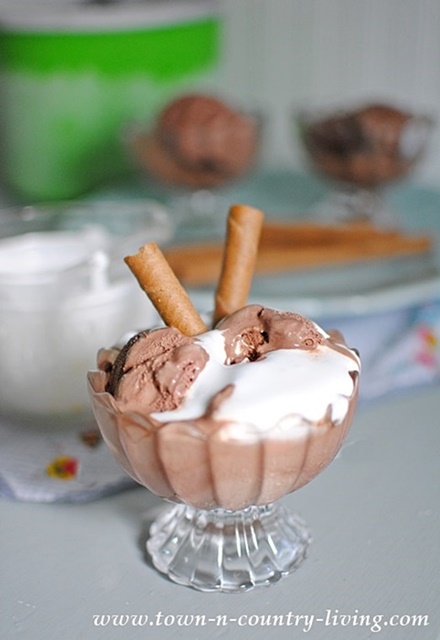 Homemade Chocolate Ice Cream with Marshmallow Sauce