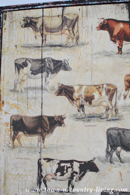 Farmhouse Cow Print