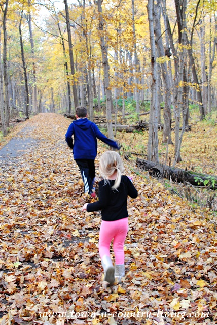 Discovering a Fall Trail