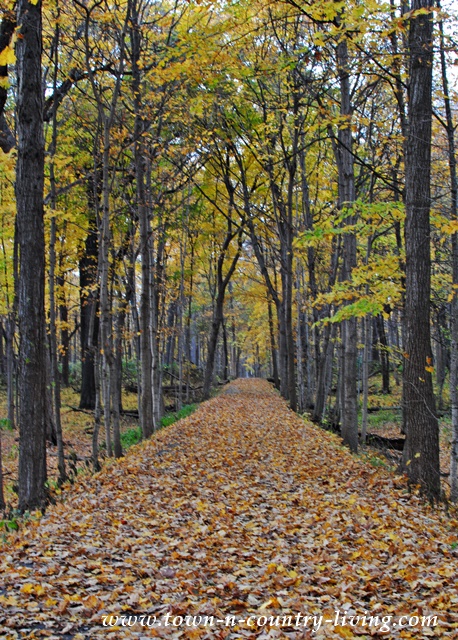 Fall-Trail